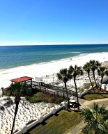 Florida in Photos