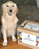 ALDI Delivered to my Doorstep {Review + Giveaway}