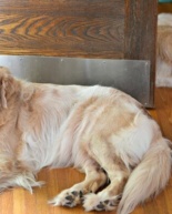 Friday I’m In Love, Volume 11