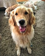 Another Visitor + 90-Minute Workout Playlist + Last Week’s Workouts