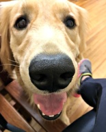Rain + Zoey + Lots of Recent Eats