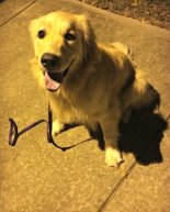 Zoey Turns Two!