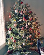 Christmas Decorations + Recent Eats + Our First Purple Carrot Delivery