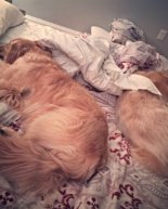 Don’t begin 2017 without taking a look back at 2016