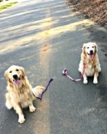 Weekend: Winter Farmers Market, Teacher Training Kick Off, QT with the Girls