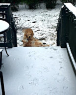 A Cold Charlotte Weekend