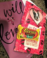 February Faves + Smart Shoes + be Runa Giveaway