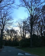 Lately & Weekend: The Best Run + The Best Low-Key Saturday Night