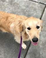 Mid-Week Check-In + Dealing with the Emotional Side of Running Injuries