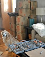 Moving Week Eats