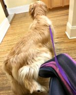 A Boring Weekend + An Awesome Strength Workout + Weekly Workout Playlist (Best Yet!)