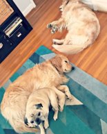 Playlist + Last Week’s Workouts + Weekend Recap