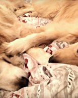 Workouts + Workout Playlist + Wedding Weekend Part 1