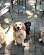 Let’s Talk About How We Talk About Our Bodies