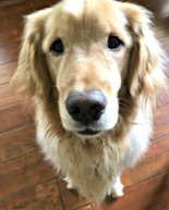 Weekend: Bye to Bear, Stagioni Date Night, Sunday Stuff