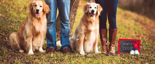 Recent Posts Peanut Butter Runner