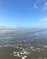 Friday I’m In Love: Folly Edition