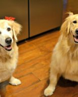 Thursday in the Life