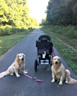 Weekend Walking, Sushi, Outings and Cuddles