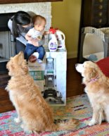 My New Hobby + Hoover Carpet Cleaner Giveaway