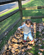 Day in the Life at 21 Months