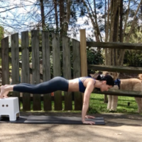 Step Stool Bodyweight Workout