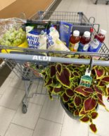 What I Bought at ALDI + Over 30 of My Favorite Things to Buy at ALDI