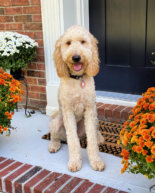 This Week Was A Week