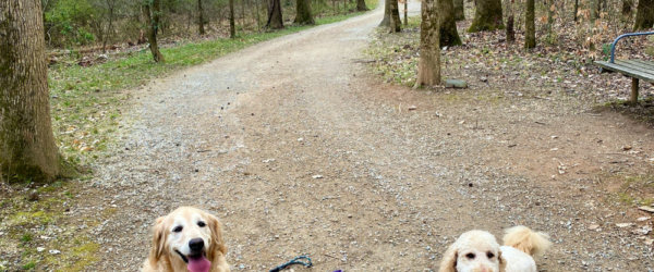 Reset Button Weekend