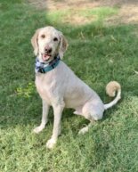 Life Lately: Sweating Through The Summer